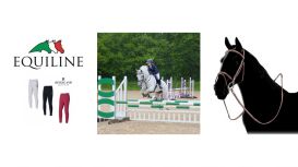 Horse Riding Equipment: Brendon Saddlery, West Sussex, UK Horse Riding Equipment: Brendon Saddlery, West Sussex, UK