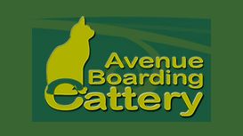 Avenue Cattery