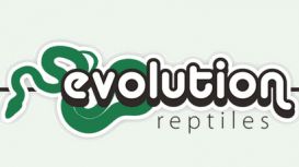 Evolution Reptiles