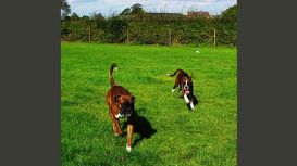 Grindlestone Kennels & Cattery