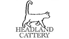 Headland Cattery