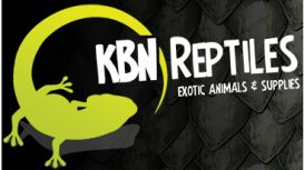 KBN Reptiles