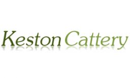 Keston Cattery Boarding Kennels