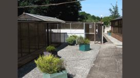 Leestock Cattery