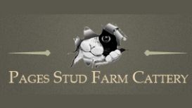 Pages Stud Cattery