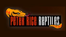 Peter Rice Reptiles