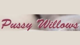 Pussy Willows