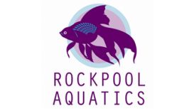 Rockpool Aquatics