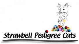 Strawbell Pedigree Cats