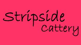 Stripside Boarding Cattery