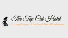 Top Cat Hotel