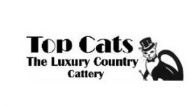 Top Cats Cattery